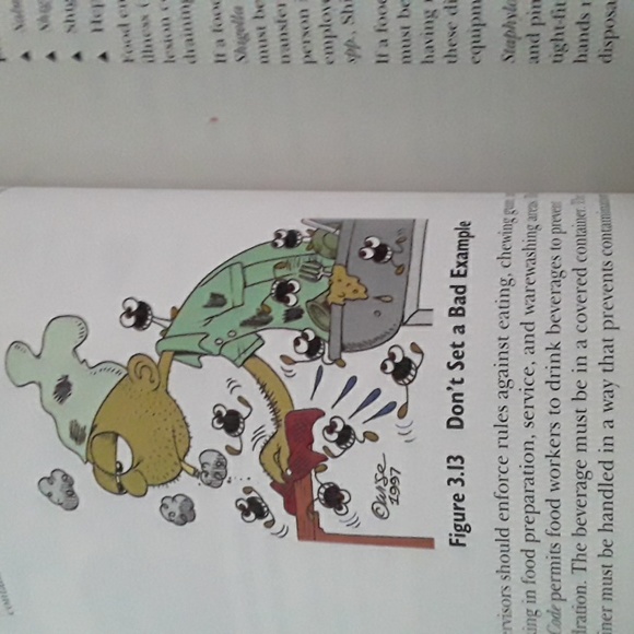 Book. Food safety - Picture 14 of 16